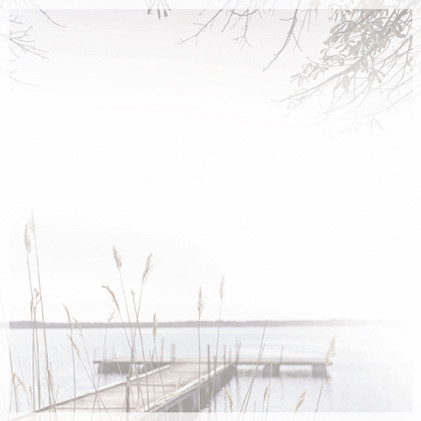 Theme preview