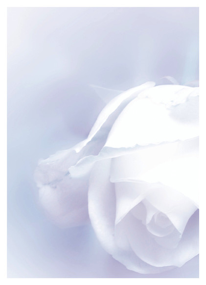 Theme preview