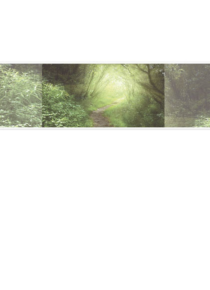 Theme preview